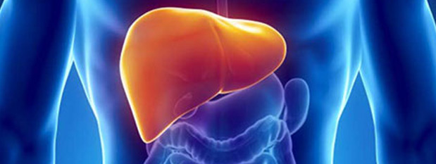 icerik_hepatit